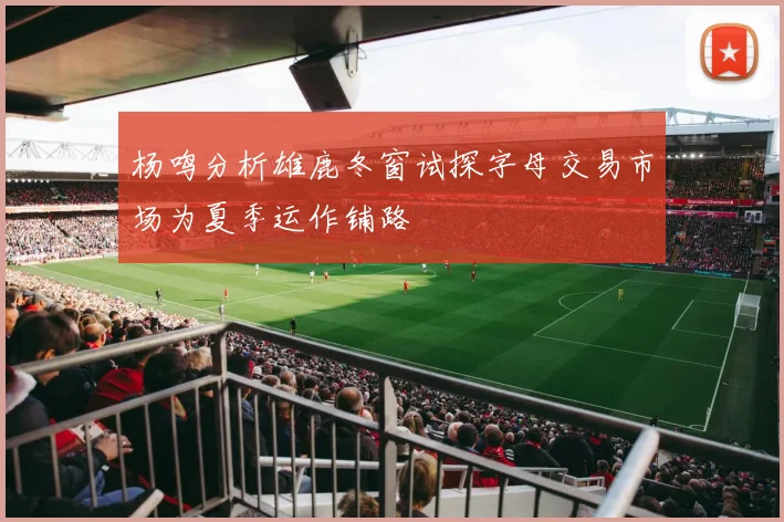 杨鸣分析雄鹿冬窗试探字母交易市场为夏季运作铺路