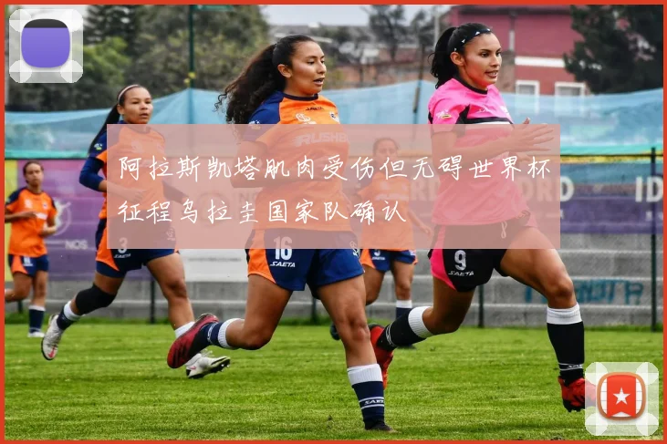 阿拉斯凯塔肌肉受伤但无碍世界杯征程乌拉圭国家队确认